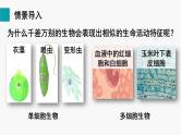 第3章细胞第1节细胞的基本结构和功能第1课时光学显微镜的使用方法课件
