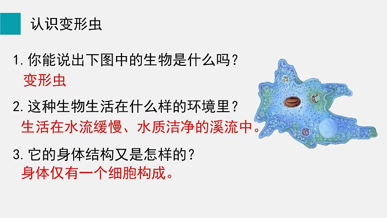 第3章细胞第2节细胞是生命活动的单位课件03