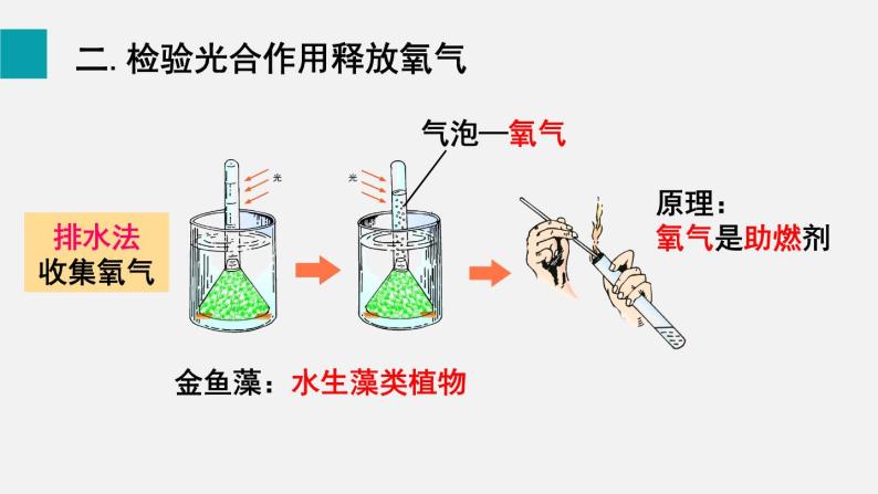 第5章绿色开花植物的生活方式第1节光合作用第2课时光合作用的探索课件08