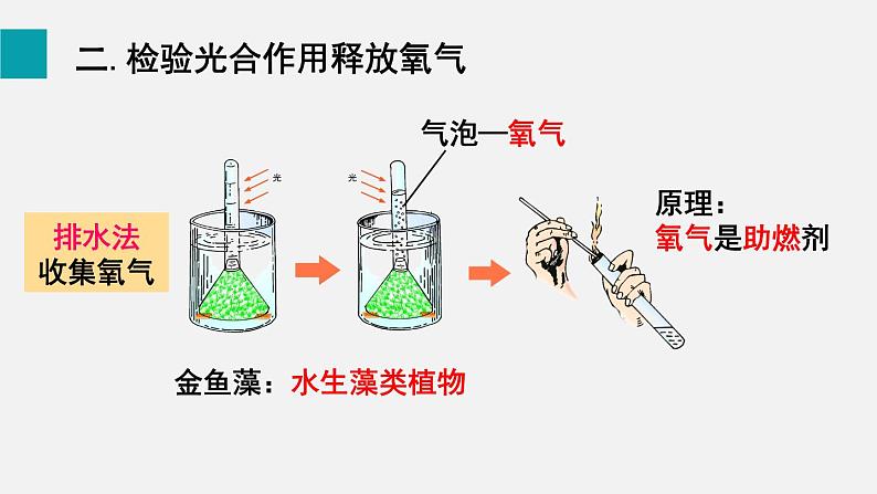 第5章绿色开花植物的生活方式第1节光合作用第2课时光合作用的探索课件08