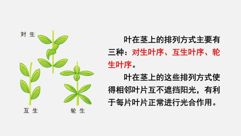 第5章绿色开花植物的生活方式第1节光合作用第3课时光合作用的原理和应用课件05