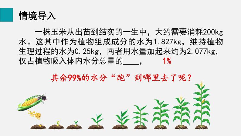 第5章绿色开花植物的生活方式第4节蒸腾作用课件02