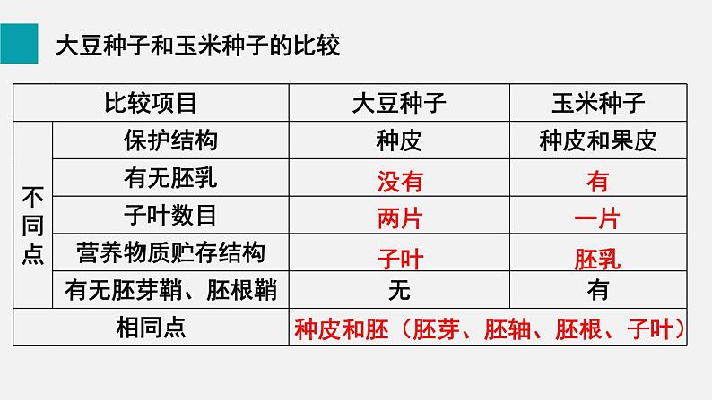 第6章绿色开花植物的生活史第1节种子萌发形成幼苗课件07