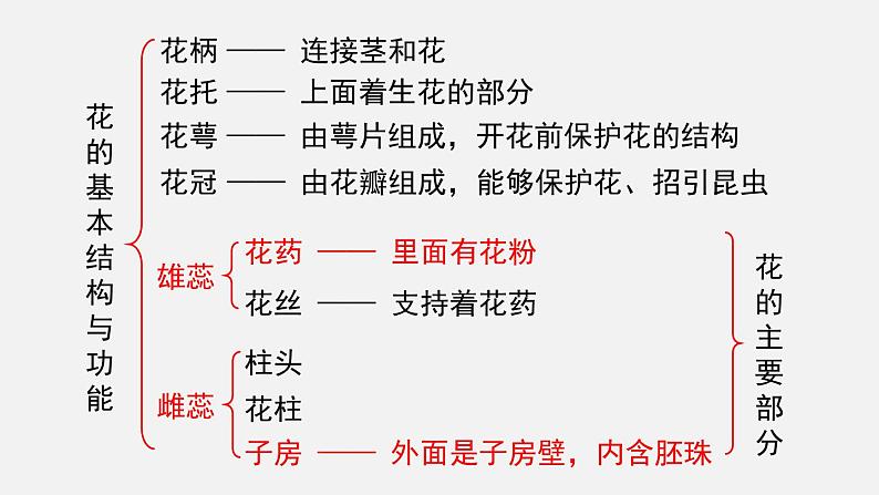 第6章绿色开花植物的生活史第3节生殖器官的生长课件06