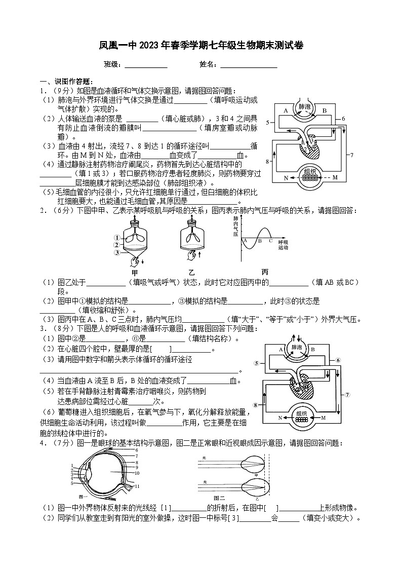湖南省凤凰县第一中学2022-2023学年七年级下学期期末考试生物试题01