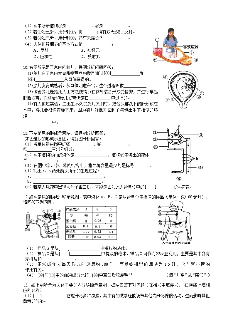 湖南省凤凰县第一中学2022-2023学年七年级下学期期末考试生物试题03