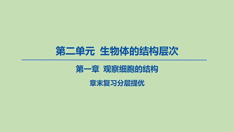 2023-2024学年六年级生物鲁教版（五四学制）课件---章末复习（试题)01