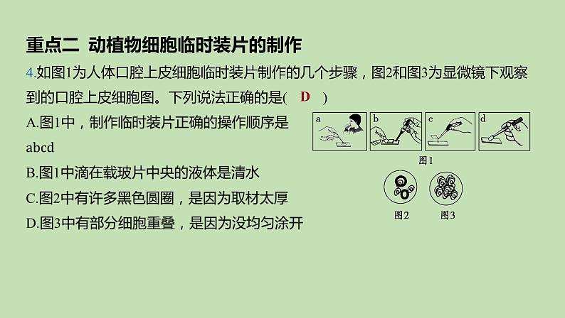 2023-2024学年六年级生物鲁教版（五四学制）课件---章末复习（试题)06