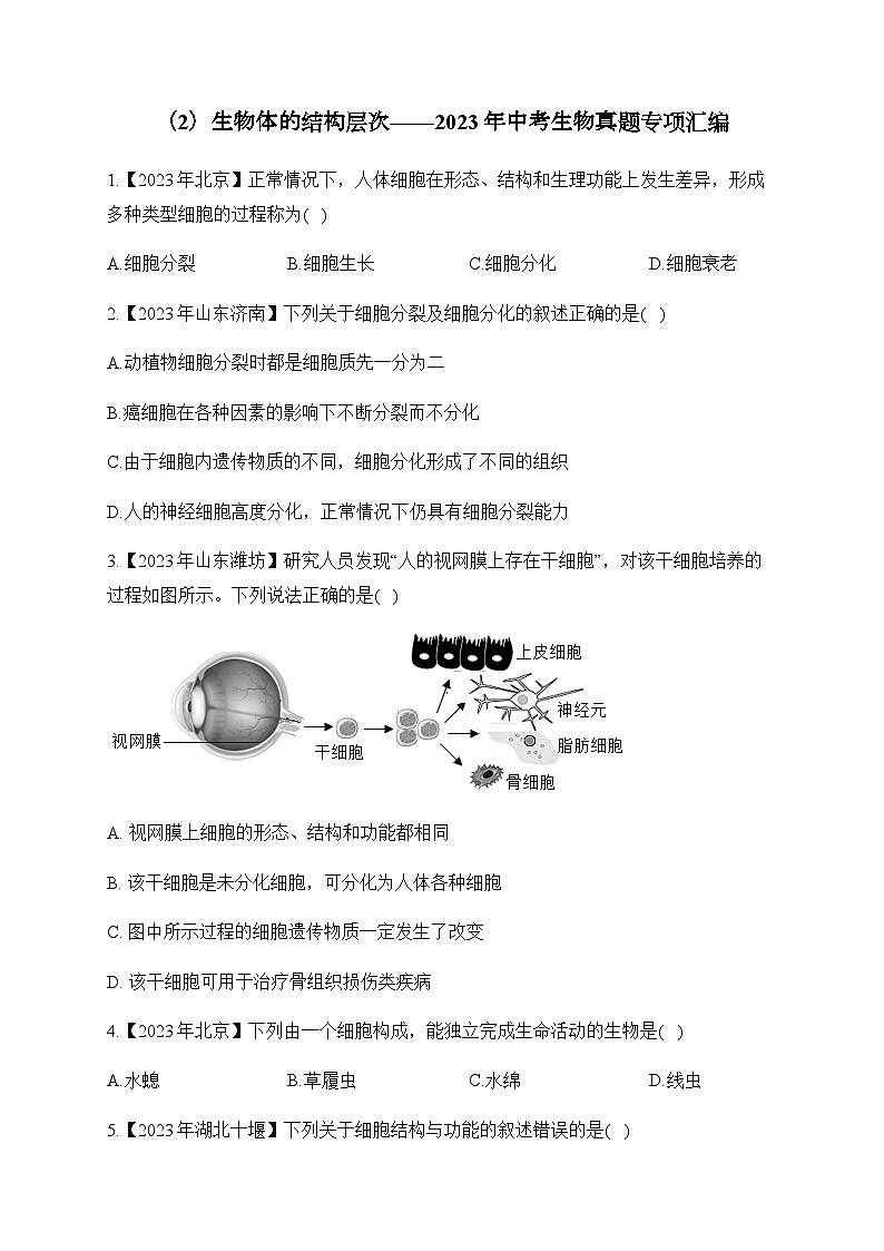 （2）生物体的结构层次——2023年中考生物真题专项汇编第1页