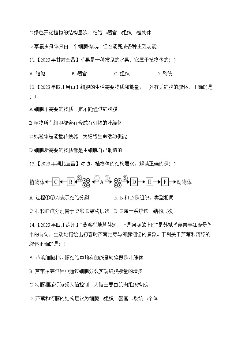 （2）生物体的结构层次——2023年中考生物真题专项汇编第3页