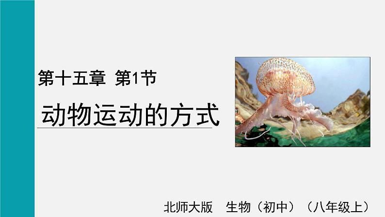 第15章动物的运动第1节动物运动的方式课件第1页