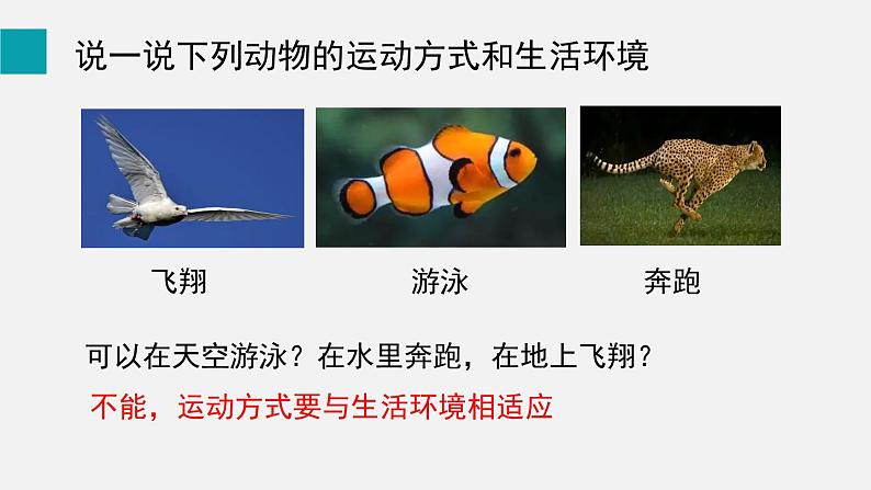 第15章动物的运动第1节动物运动的方式课件第4页