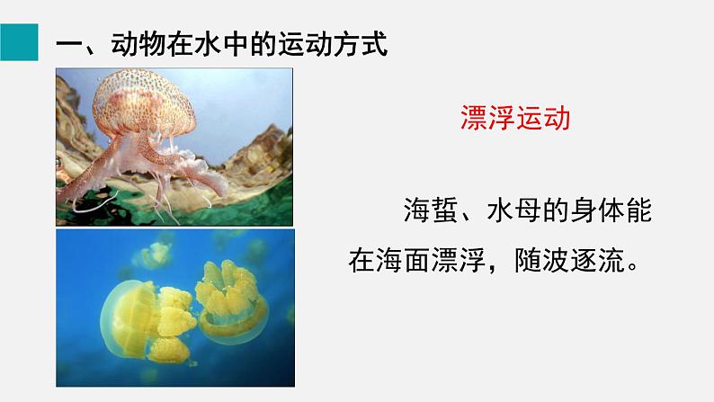 第15章动物的运动第1节动物运动的方式课件第5页