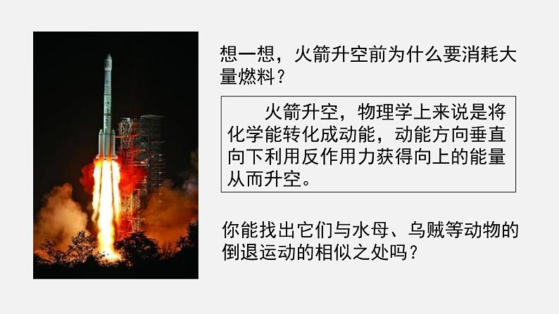 第15章动物的运动第1节动物运动的方式课件第7页