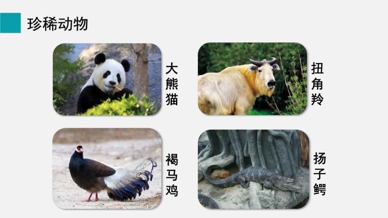 第17章生物圈中的动物第2节我国的动物资源及保护课件05