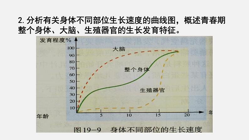 第19章生物的生殖和发育第1节人的生殖和发育第2课时课件08