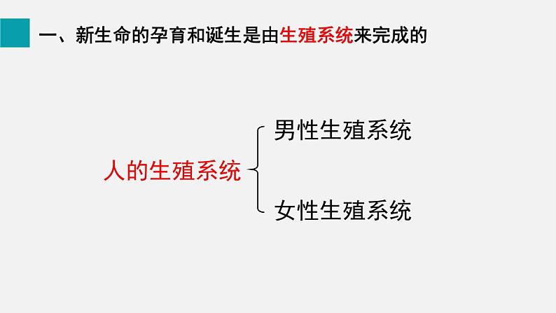 第19章生物的生殖和发育第1节人的生殖和发育第1课时课件08