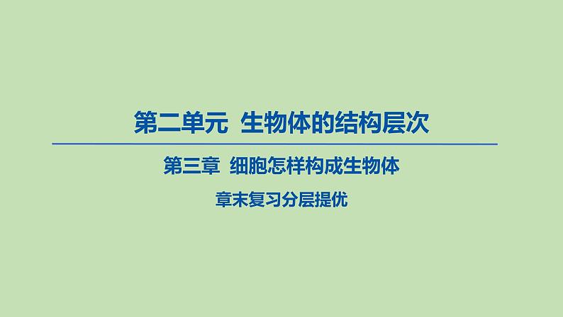 2023-2024学年六年级生物鲁教版（五四学制）课件---第3章 细胞怎样构成细胞体复习第1页