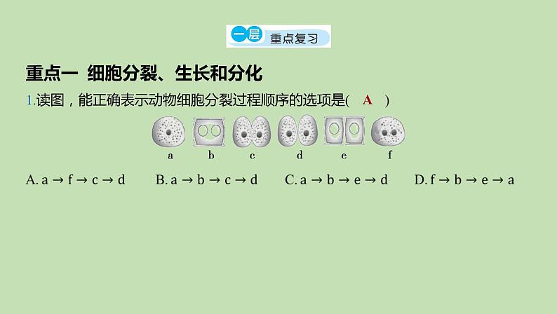 2023-2024学年六年级生物鲁教版（五四学制）课件---第3章 细胞怎样构成细胞体复习第3页