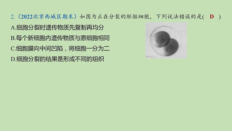 2023-2024学年六年级生物鲁教版（五四学制）课件---第3章 细胞怎样构成细胞体复习第4页