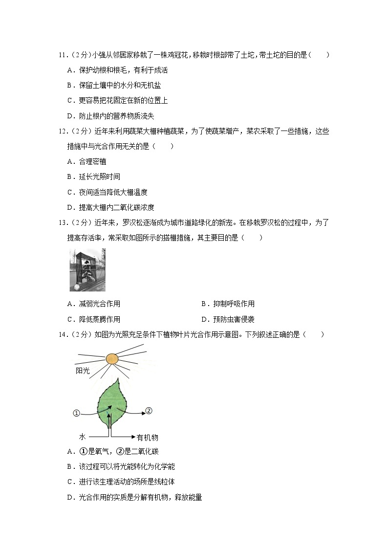 广东省湛江七中2022-2023学年七年级上学期期末生物试卷03