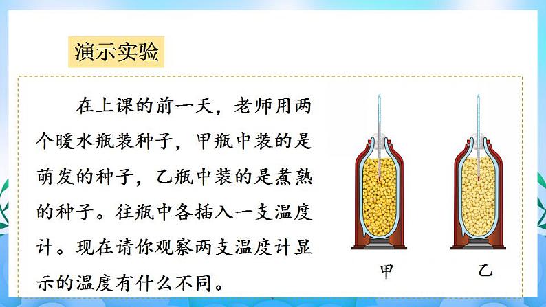 人教版七上生物 第二节 绿色植物的呼吸作用课件PPT第5页