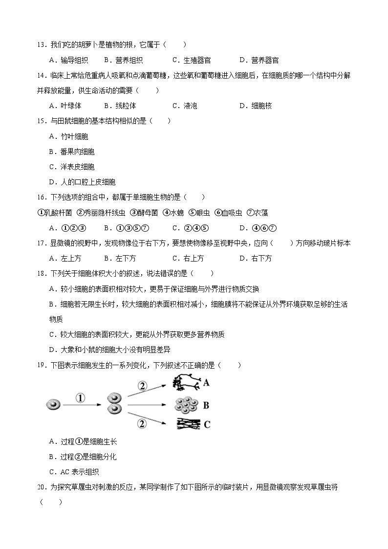 重庆市江津第二中学校2023--2024学年七年级上学期生物第一次月考试题03