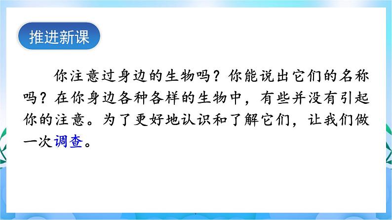 人教版七上生物 1.1.2 调查周边环境中的生物课件06