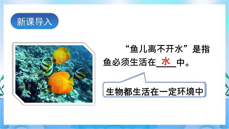 人教版七上生物 第1课时 环境中的生态因素 非生物因素对生物的影响第2页