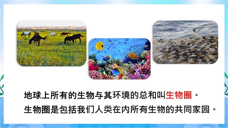 人教版七上生物 第1课时 环境中的生态因素 非生物因素对生物的影响第3页