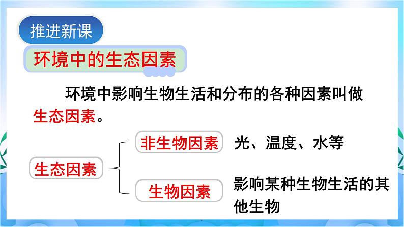 人教版七上生物 第1课时 环境中的生态因素 非生物因素对生物的影响第4页