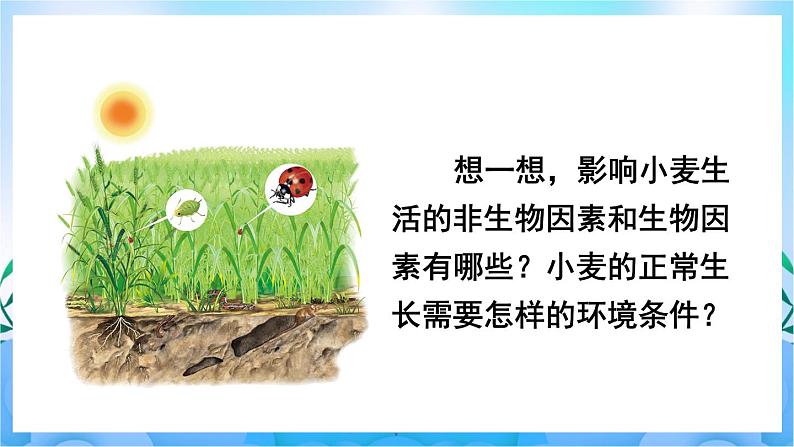 人教版七上生物 第1课时 环境中的生态因素 非生物因素对生物的影响第5页