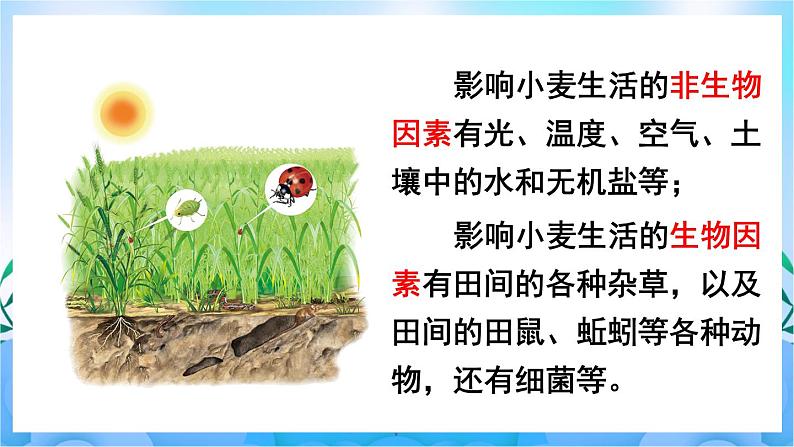 人教版七上生物 第1课时 环境中的生态因素 非生物因素对生物的影响第6页
