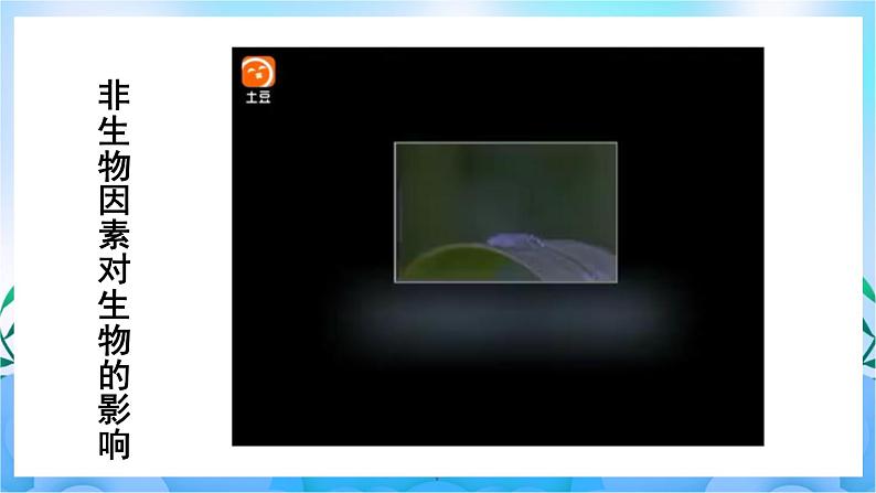 人教版七上生物 第1课时 环境中的生态因素 非生物因素对生物的影响第7页