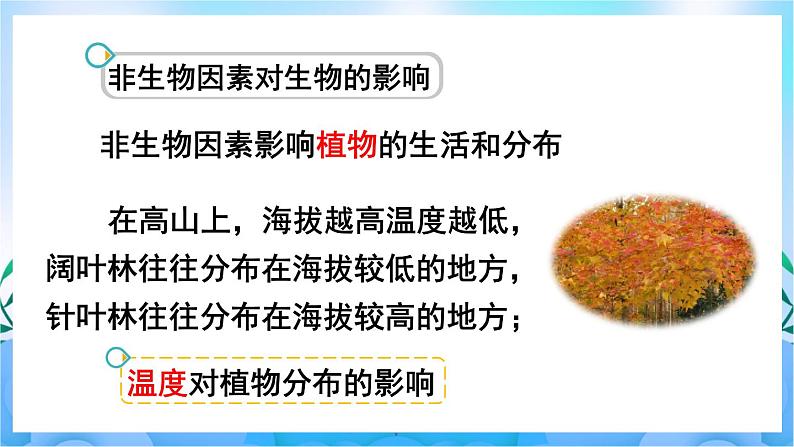 人教版七上生物 第1课时 环境中的生态因素 非生物因素对生物的影响第8页