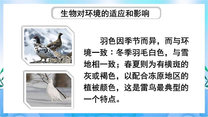 人教版七上生物 第2课时 生物因素对生物的影响 生物对环境的适应和影响第8页