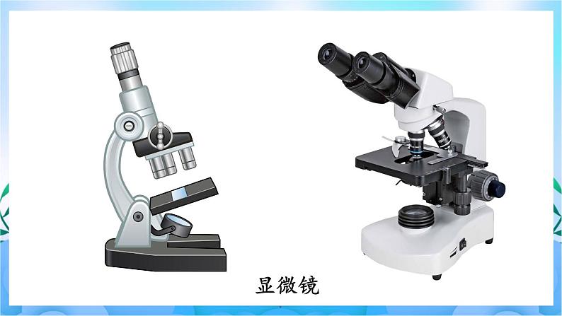 人教版七上生物2.1.1《练习使用显微镜》课件+视频素材02