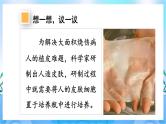 人教版七上生物 2.1.4 细胞的生活 课件