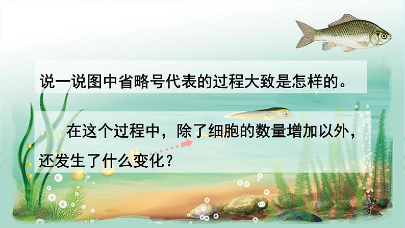 人教版七上生物 第二节 动物体的结构层次第2页