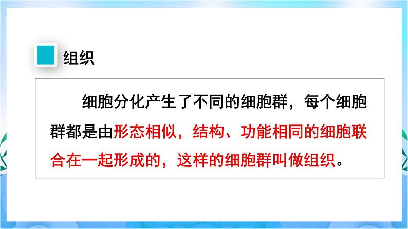 人教版七上生物 第二节 动物体的结构层次第4页