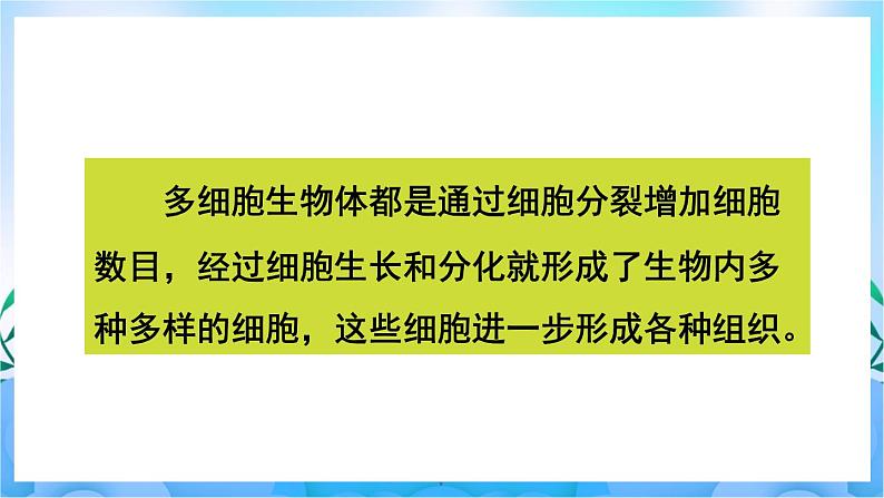 人教版七上生物 第二节 动物体的结构层次第5页