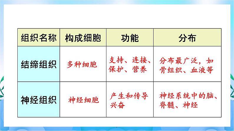 人教版七上生物 第二节 动物体的结构层次第8页