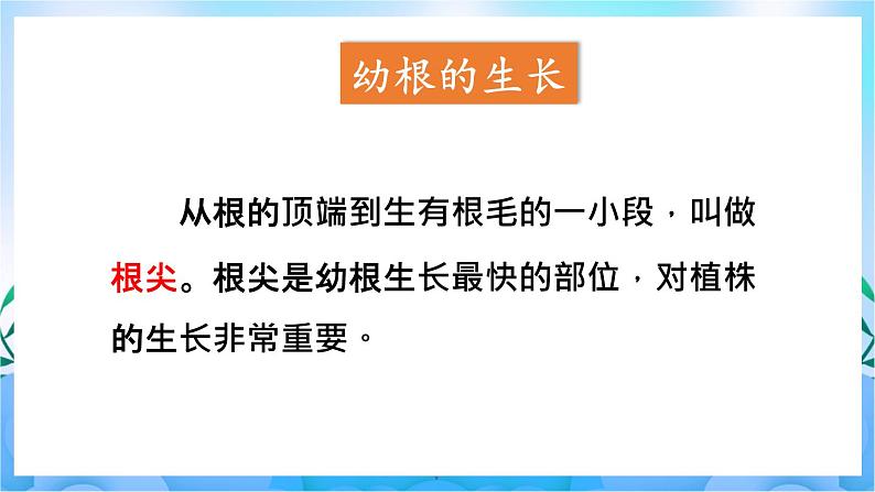 人教版七上生物3.2.2《植株的生长》课件+视频素材04