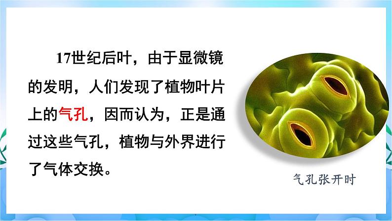 人教版七上生物3.5.1《光合作用吸收二氧化碳释放氧气》课件+视频素材07
