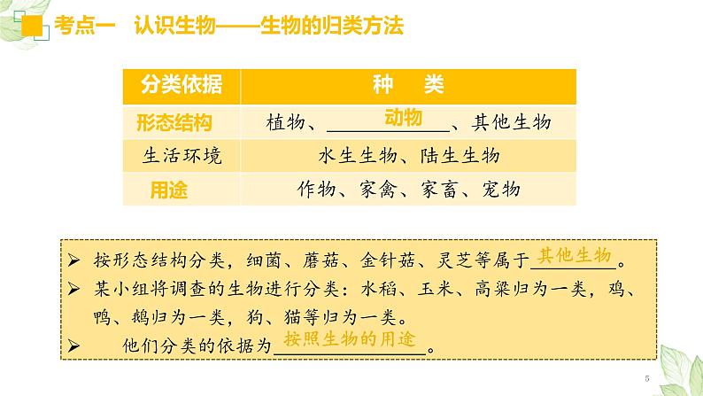 中考生物一轮复习习题精炼课件 专题01 生物和生物圈（含答案）05