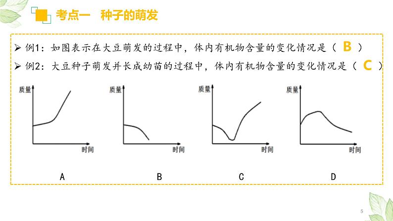 中考生物一轮复习习题精炼课件 专题05 被子植物的一生（含答案）第5页