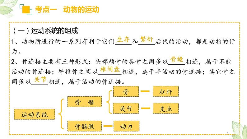 中考生物一轮复习习题精炼课件 专题16 动物的运动和行为+动物在生物圈中的作用（含答案）03