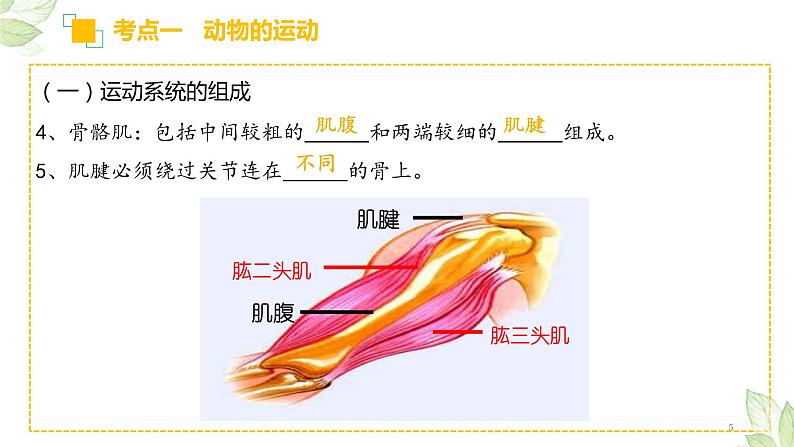 中考生物一轮复习习题精炼课件 专题16 动物的运动和行为+动物在生物圈中的作用（含答案）05