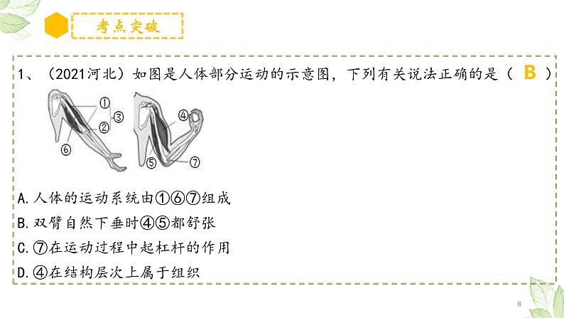 中考生物一轮复习习题精炼课件 专题16 动物的运动和行为+动物在生物圈中的作用（含答案）08