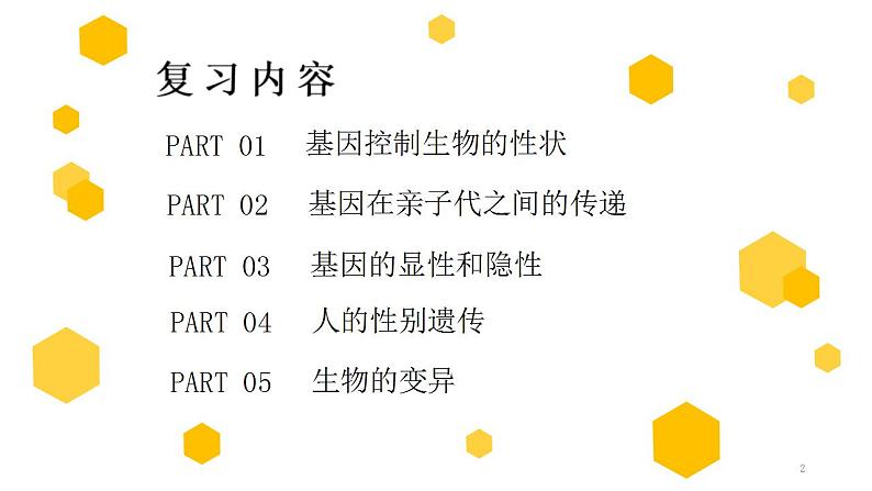 中考生物一轮复习习题精炼课件 专题20 生物的遗传和变异（含答案）第2页